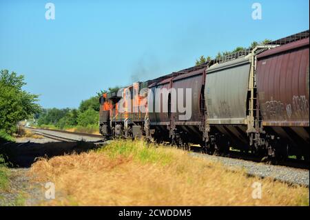 Chana, Illinois, USA. A westbound Burlington Northern Santa Fe grain train passing through Chana, Illinois on a sunny summer day from Chicago. Stock Photo