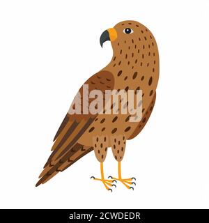 Falcon bird. Vector illustration Isolated on white background. Stock Vector