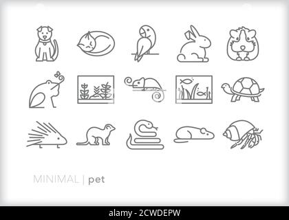 Set of pet line icons of various animals that a family or person might raise as a pet Stock Vector