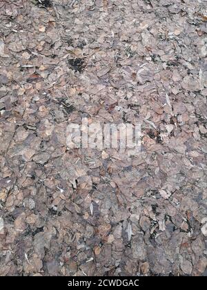 granite texture - marble layers design gray stone slab surface rock Stock Photo