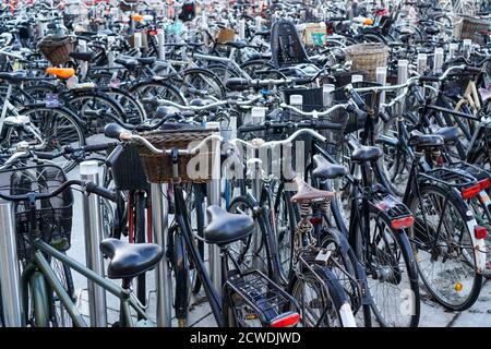 Hundreds of bicycles densely parked in rows Stock Photo