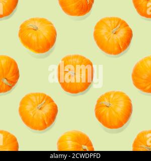 Seamless pattern with pumpkin. Autumn abstract seamless pattern made from Pumpkins on the green background. Pumpkin quality pattern. Stock Photo