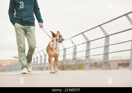 Close-up of man walking with his German shepherd on a leash along the bridge in the city Stock Photo