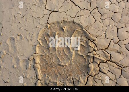 Footstep pattern on as abstract grunge background patterns Stock Photo