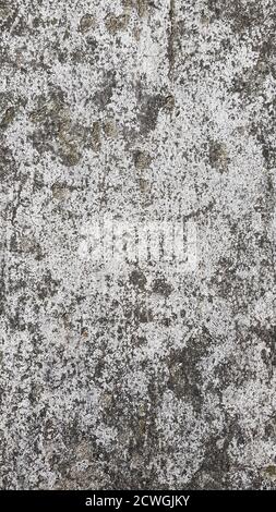 Old Torn Concrete Surface Stock Photo