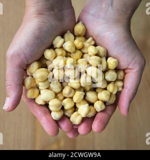 Raw chickpeas in woman's hands, top view Stock Photo