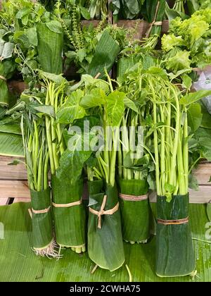 Water spinach or Morning Green Glory on the shelf. Stock Photo