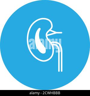 Kidney, line icon. Modern infographic logo and pictogram Stock Vector