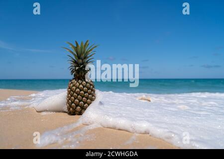 Pineapple on sand with sea water splash on blue sky summer concept background. Stock Photo