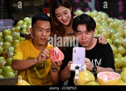 (200930) -- BEIJING, Sept. 30, 2020 (Xinhua) -- People promote the sale of pomelos via livestreaming platforms in Pinghe County, southeast China's Fujian Province, Sept. 17, 2020.  (Xinhua/Wei Peiquan) Stock Photo