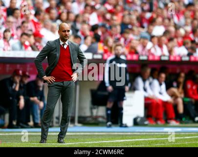 Bayern Munich coach Josep Guardiola waits for the start of the German first division Bundesliga soccer match against VfB Stuttgart in Munich May 10, 2014.       REUTERS/Michael Dalder (GERMANY  - Tags: SPORT SOCCER)