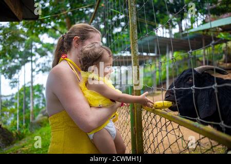 Adorable cute toddler girl with mother feeding goat on a kids farm. Beautiful baby child petting animals in the zoo. Excited and happy girl on family Stock Photo