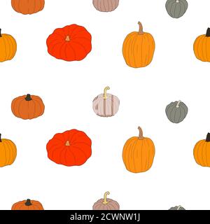 Pumpkin colorful pattern. Vector illustration isolated on white background. Healthy vegetarian food. Doodle style. Decoration for greeting cards, post Stock Vector
