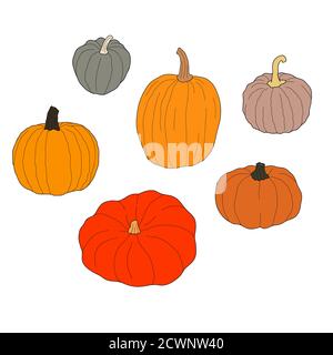 Pumpkin colorful set vector illustration isolated on white background. Healthy vegetarian food. Doodle style. Decoration for greeting cards, posters, Stock Vector