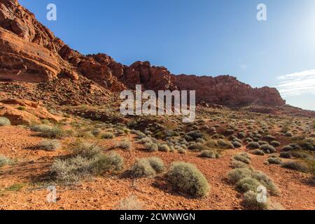 Rugged Desert Landscape. Beautiful wild desert landscape at the Valley of Fire State Park in Nevada. Stock Photo