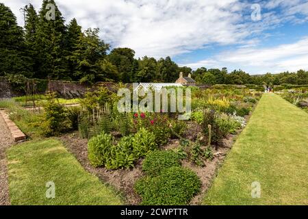 Walled garden at Culzean Castle and Country Park in Ayrshire, Scotland Stock Photo