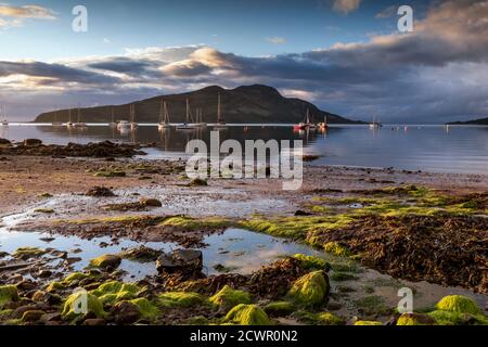 View of Holy Island from Lamlash at sunrise, Isle of Arran, in the Firth of Clyde, Scotland, Uk Stock Photo