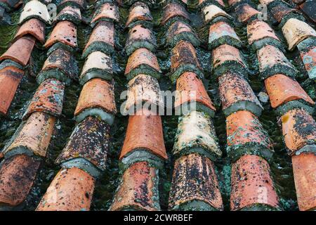 Texture of the Old tile roof, orange in color. Stock Photo
