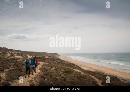 Three hikers walk the trail along the dunes, standing aside a beach landscape on a grey day Stock Photo