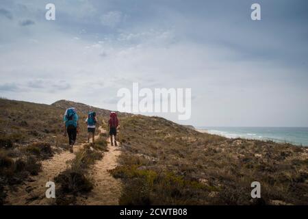 Three hikers walk the trail along the dunes, standing aside a beach landscape on a grey day Stock Photo