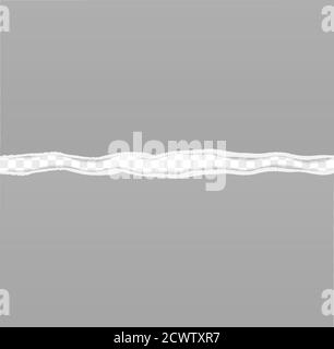 torn sheet of paper on transparent background vector illustration, layout design template Stock Vector