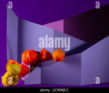 Asymmetric, abstract geometric background with a plant Stock Photo