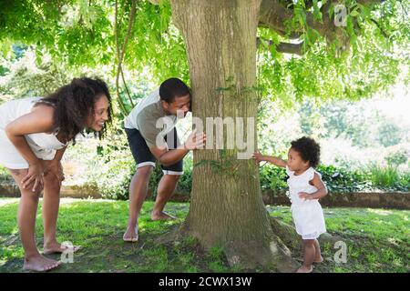 Parents playing hide and seek with cute toddler daughter at tree Stock Photo