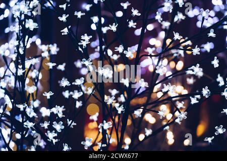 Garlands with defocused lights on winter tree outdoor in the night time. Selective focus Stock Photo