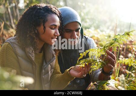 Curious young hiking couple looking at fern in woods Stock Photo