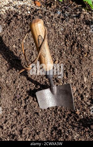 Wooden handled steel garden hand trowel tool placed in the garden soil dirt while gardening stock photo image Stock Photo