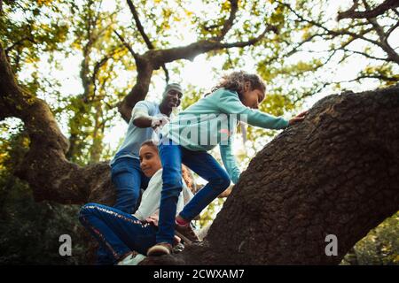Father and daughters climbing tree