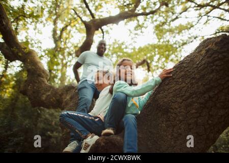 Father and daughters climbing tree