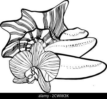 Sea stones, flowers and shells. Set of graphic gray beige stones isolated on white background. SPA concept. Can be used as background for web pages Stock Vector
