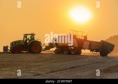 A tractor doing its seasonal work in a field of wheat, Jutland, Denmark. Stock Photo