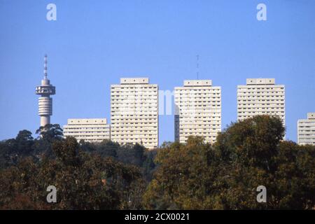 Johannesburg skyline of modern buildings, including the Hillbrow TV Tower, seen from the zoo, South Africa 1981 Stock Photo