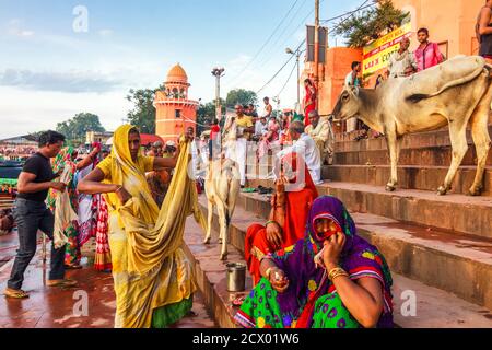 Chitrakoot, Madhya Pradesh, India : Three women in colourful saris sit next to two cowss on the steps of Ramghat on the Mandakini river, where during Stock Photo