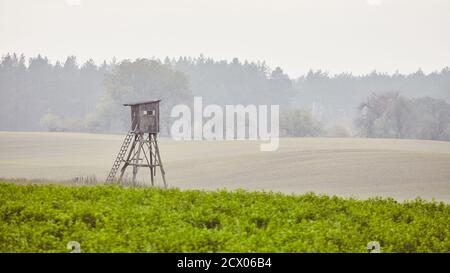 Wooden hunting blind on a field in an autumnal misty morning, color toning applied. Stock Photo