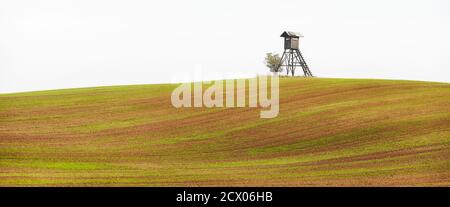 Rural landscape with wooden hunting blind on a field in an autumnal misty morning. Stock Photo