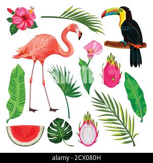 Summer tropical design elements set, isolated on white background. Vector cartoon illustration of toucan, flamingo, palm leaves and dragon fruit. Stock Vector