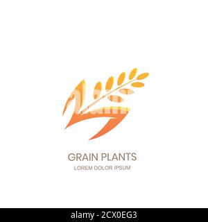 Grain plants logo sign concept. Rice, wheat, rye cereal icon. Vector design for organic flour package, bread label, bakery shop. Stock Vector