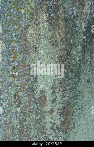 Texture of old rustic wall. Soft focus. Copy space Stock Photo - Alamy