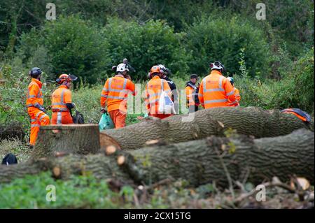 Denham, UK. 30th September, 2020. HS2 High Speed Rail link tree fellers were back chopping down trees in the public Denham Country Park this morning. The land they are working on is in a public area that is allegedly outside the location that HS2 have permission to work in. HS2 Security teams were blocking access to the area to both members of the public and press today on the grounds of health and safety. Many local residents oppose HS2 as do environmental campaigners and activists. Credit: Maureen McLean/Alamy Live News Stock Photo