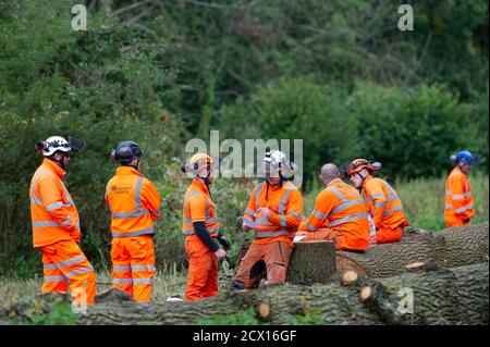 Denham, UK. 30th September, 2020. HS2 High Speed Rail link tree fellers were back chopping down trees in the public Denham Country Park this morning. The land they are working on is in a public area that is allegedly outside the location that HS2 have permission to work in. HS2 Security teams were blocking access to the area to both members of the public and press today on the grounds of health and safety. Many local residents oppose HS2 as do environmental campaigners and activists. Credit: Maureen McLean/Alamy Live News Stock Photo