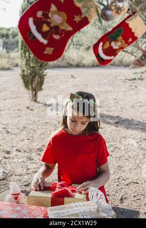 A girl with gift boxes and Christmas decorations on a picnic table and under a decorated olive tree in the field at sunset Stock Photo