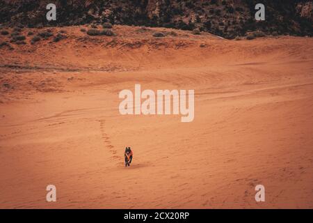 A black dog is running through dunes Stock Photo