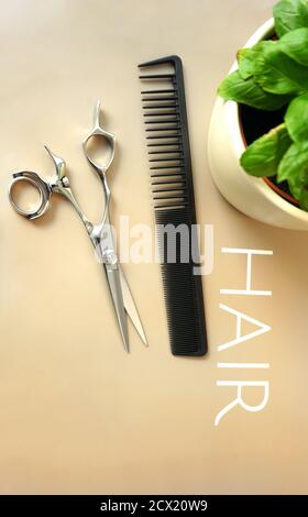Hairdresser Tools, cutting comb and scissors, a green plant Stock Photo