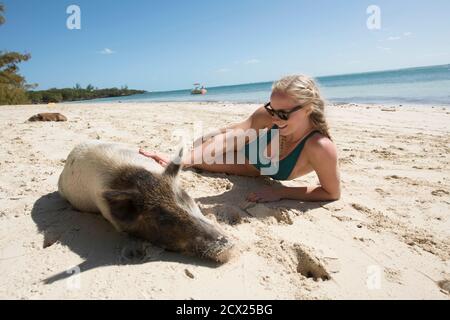 Happy young woman lying by pig on sand at beach during summer vacation Stock Photo