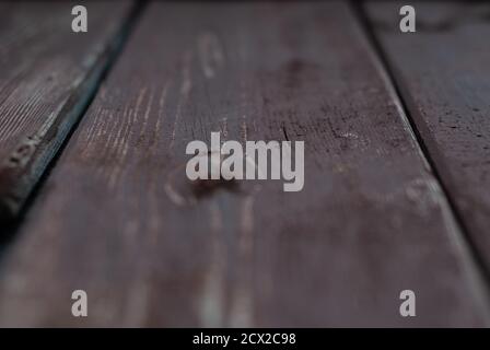 Wooden table perspective, aged surface, Stock Photo