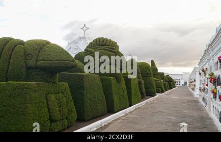 Tulcan Cemetery with green hedges in Tulcan, Ecuador. Stock Photo