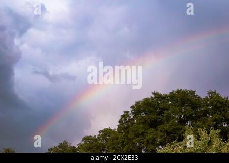 Rainbow in the sky after rain over the crowns of trees Stock Photo